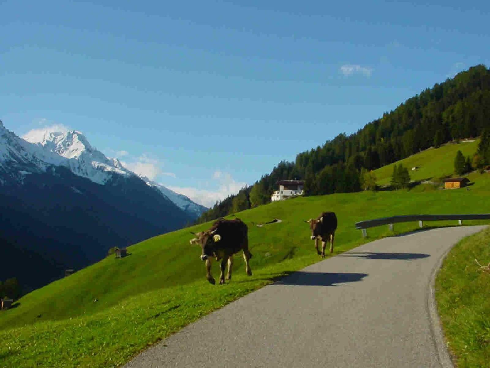 Apartament Pfurtschell Neustift im Stubaital Zewnętrze zdjęcie